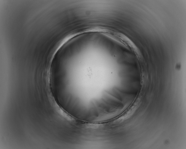 X0000101710860200807241454