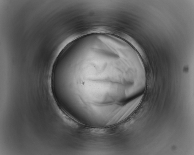 X0000101710861200807241454