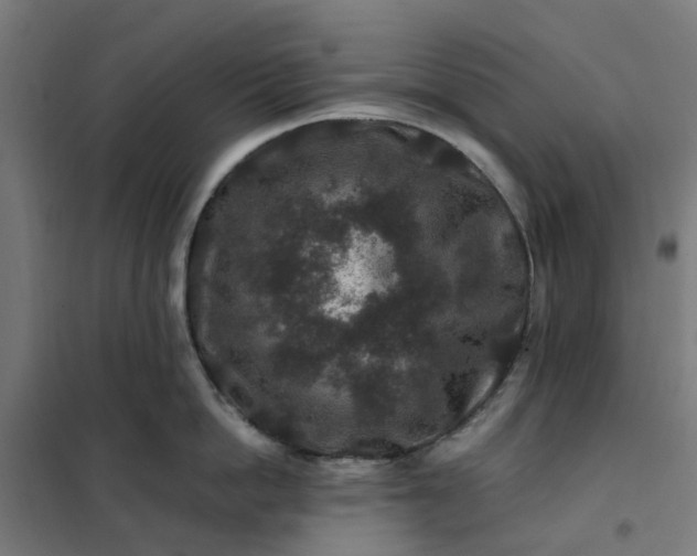 X0000101710862200807241454