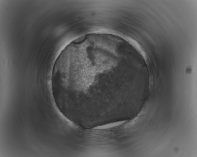 X0000101710863200807241454