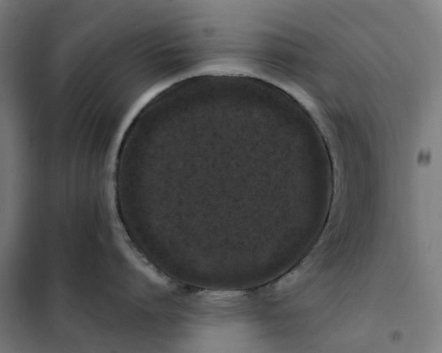 X0000101710864200807241454