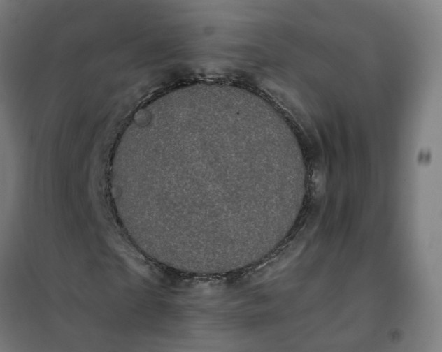 X0000101710865200807241453