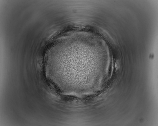 X0000101710867200807241453