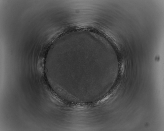 X0000101710868200807241453