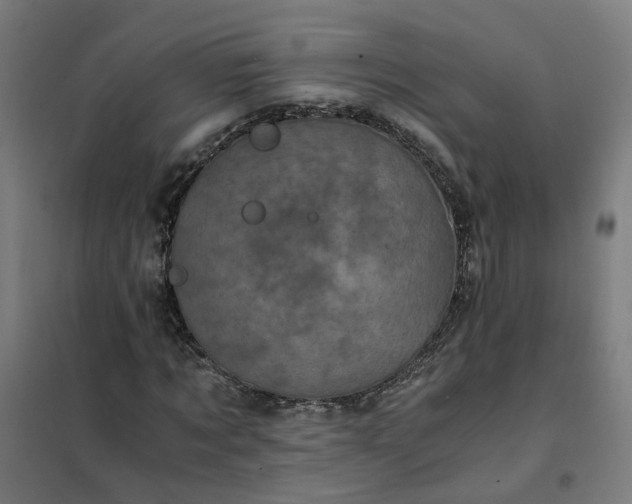 X0000101710869200807241453