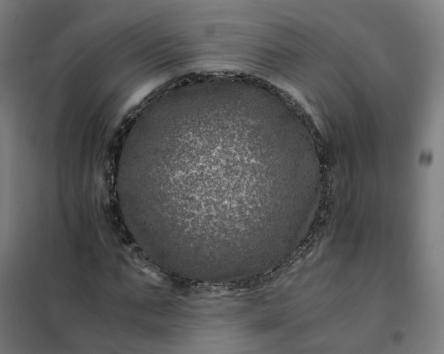 X0000101710871200807241453