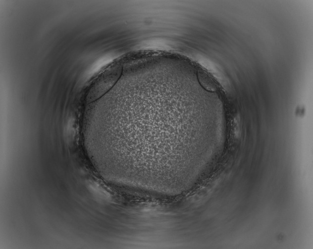 X0000101710872200807241453