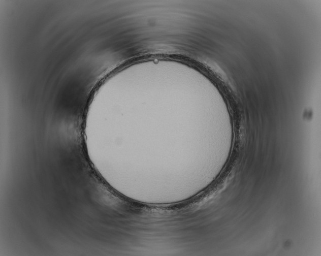 X0000101710873200807241453