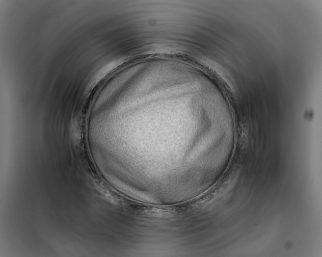 X0000101710874200807241453