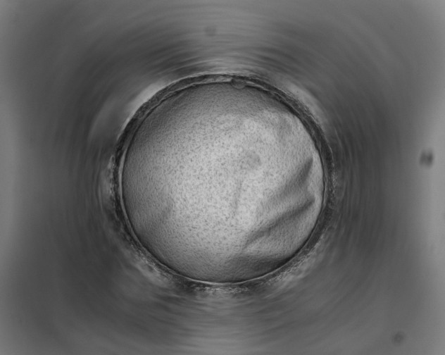 X0000101710875200807241453