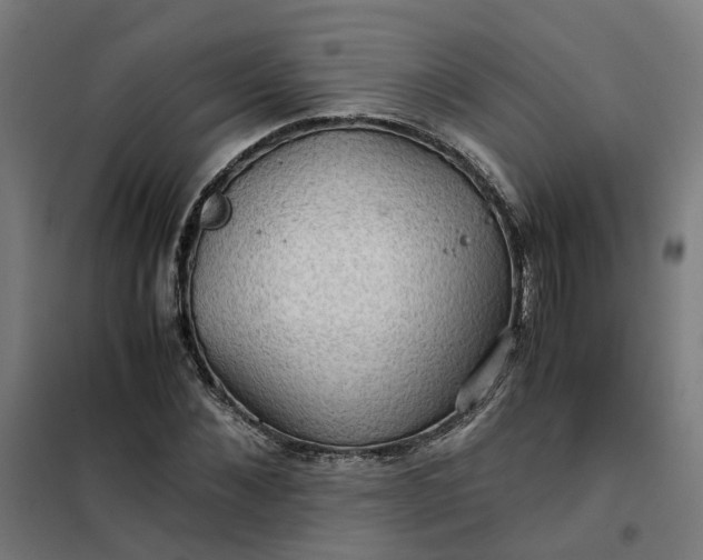 X0000101710876200807241453