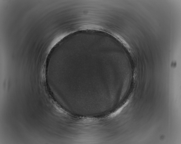 X0000101710877200807241453