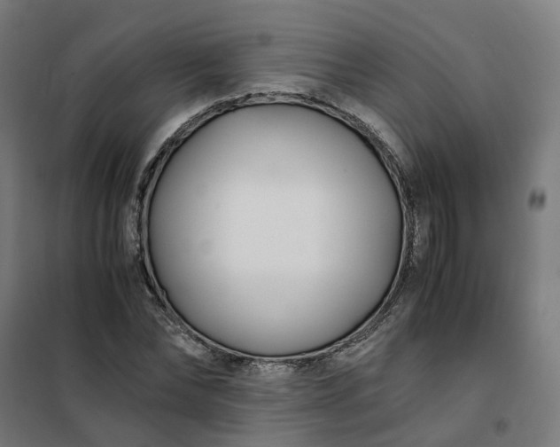 X0000101710878200807241453