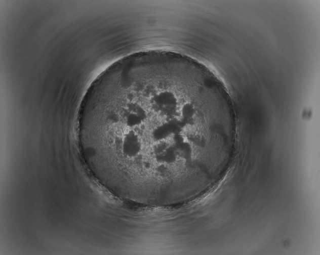 X0000101710879200807241453