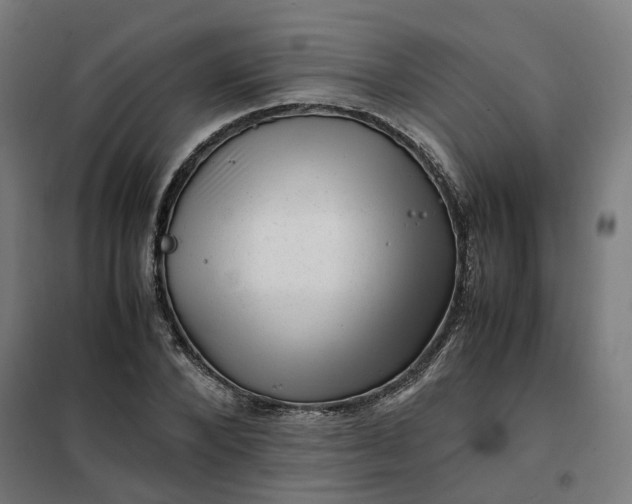 X0000101710880200807241453