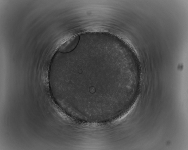 X0000101710881200807241453