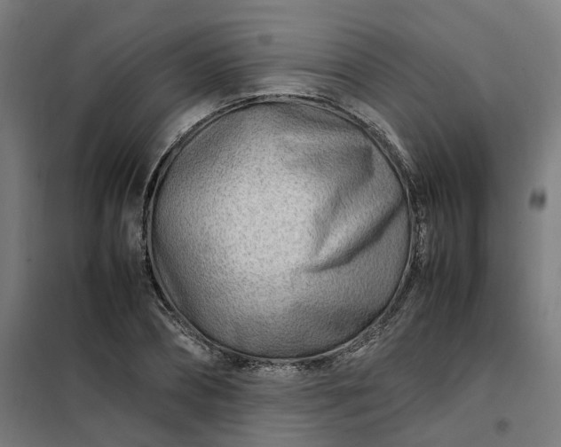 X0000101710882200807241453