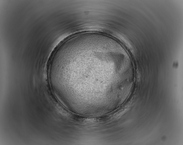 X0000101710883200807241453