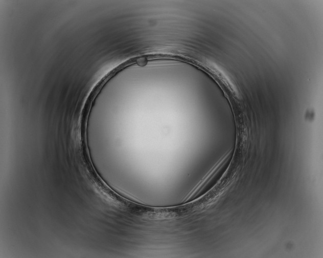 X0000101710884200807241453