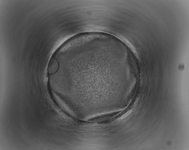 X0000101710885200807241453