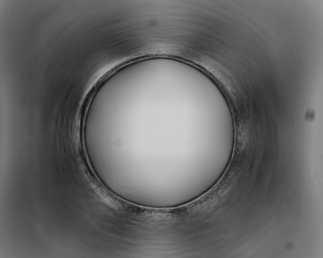 X0000101710886200807241453