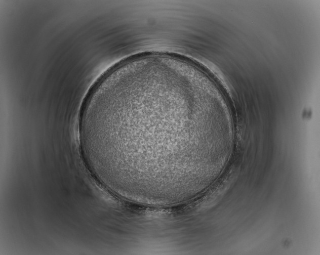 X0000101710887200807241453