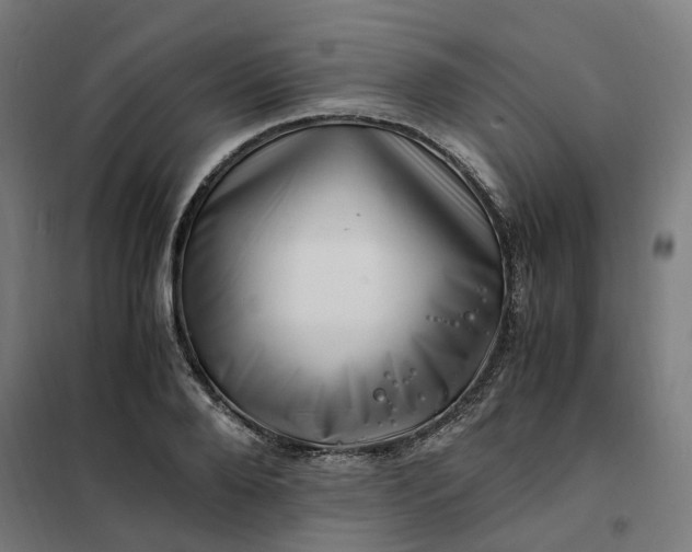 X0000101710888200807241453