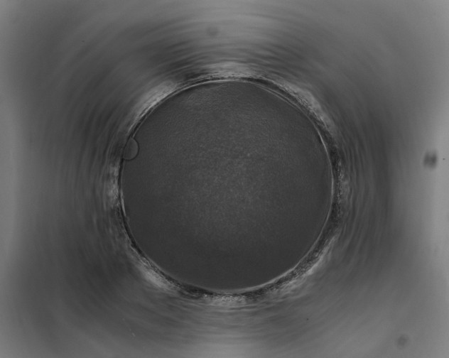 X0000101710889200807241453