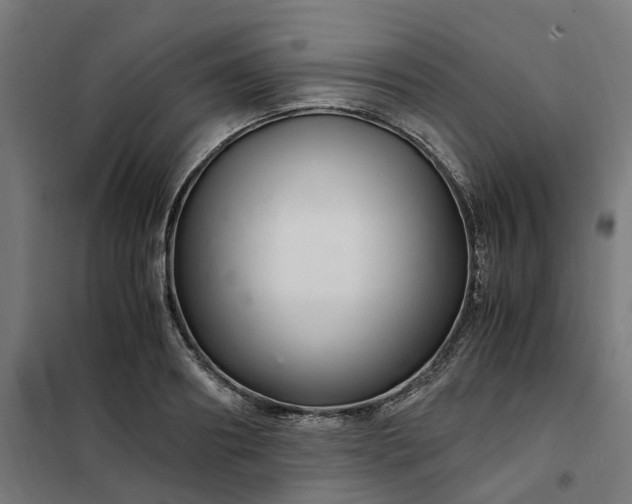 X0000101710890200807241453