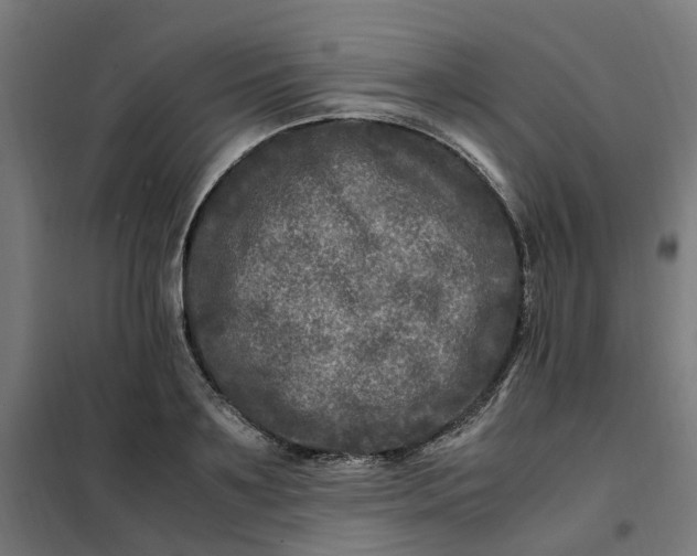 X0000101710891200807241453