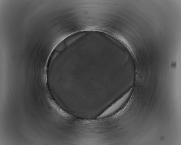 X0000101710892200807241453