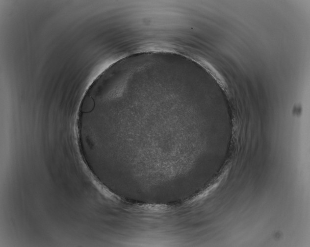 X0000101710893200807241453