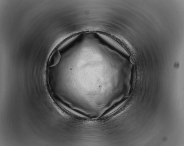 X0000101710894200807241453