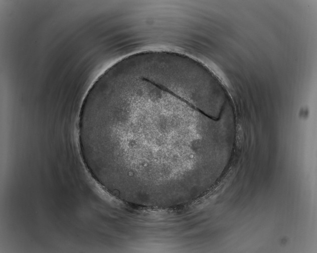 X0000101710895200807241453