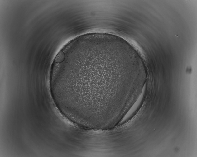 X0000101710896200807241453