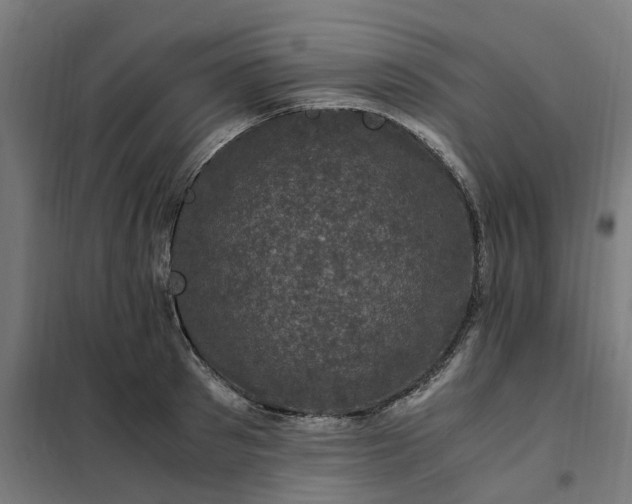 X0000101710897200807241453