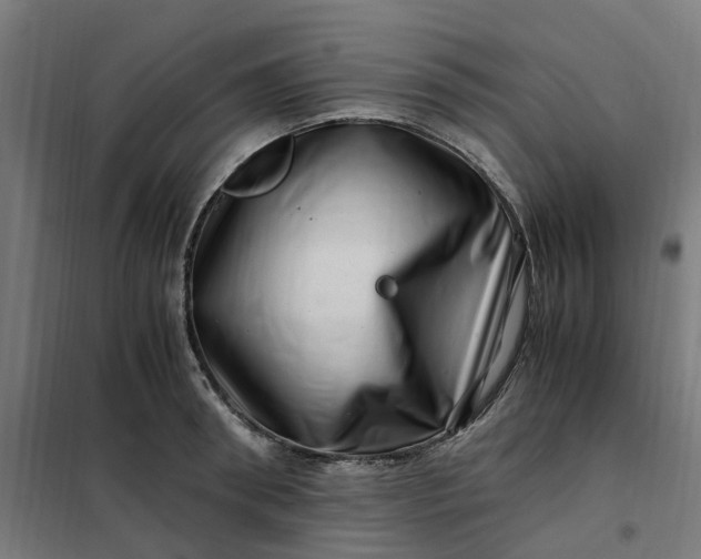 X0000101710898200807241453