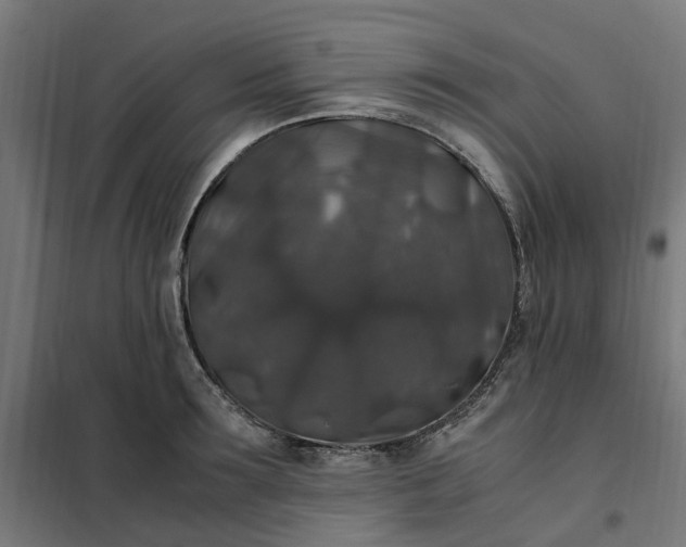 X0000101710899200807241453