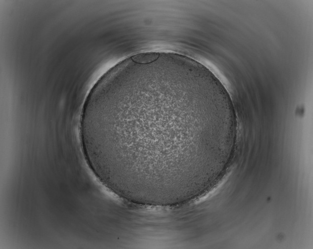 X0000101710901200807241453