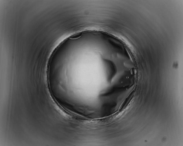 X0000101710902200807241453