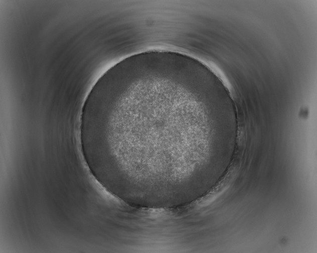 X0000101710903200807241453