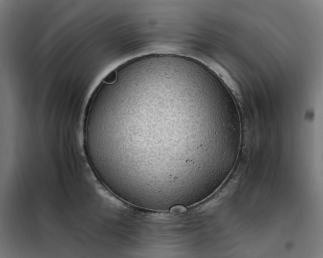 X0000101710904200807241453