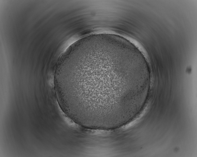 X0000101710905200807241453