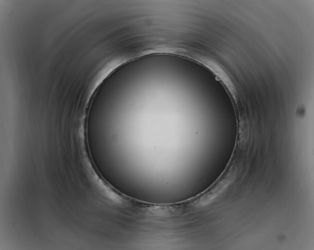 X0000101710906200807241453