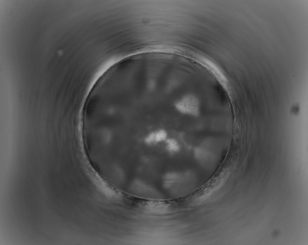 X0000101710907200807241453