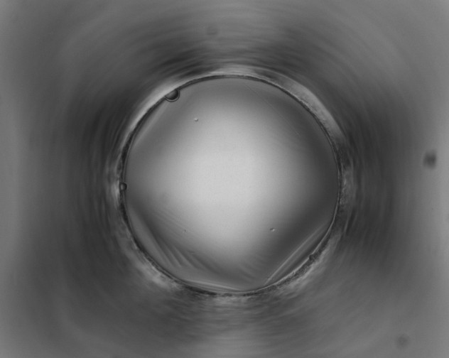 X0000101710908200807241453