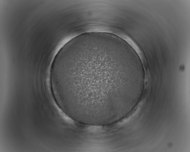 X0000101710909200807241453