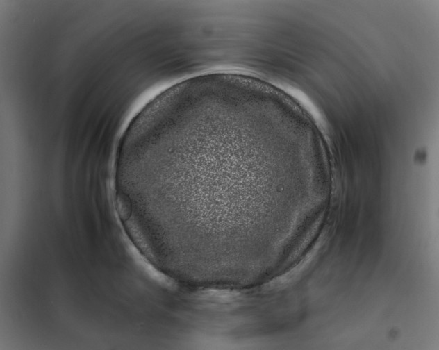 X0000101710910200807241453