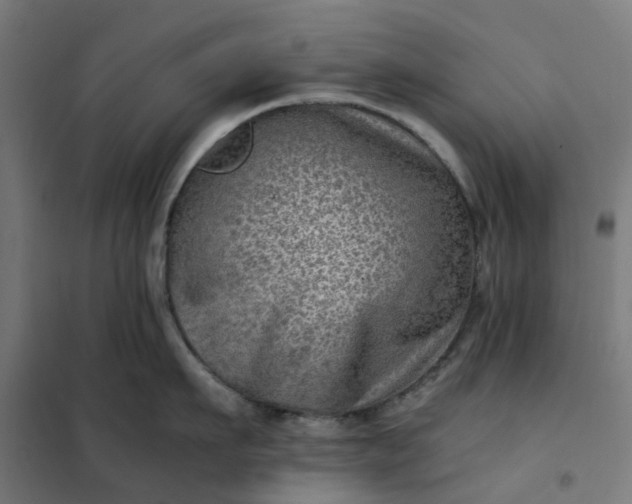 X0000101710911200807241453