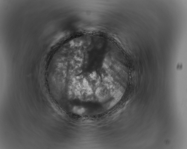 X0000101710913200807241452